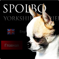 Spolbo